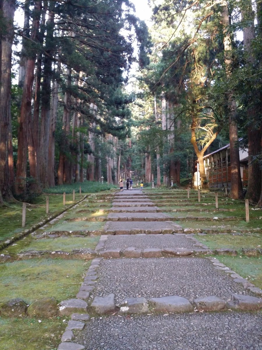 masaseep's tweet photo. 寺参り、良かったよ https://t.co/YvmMLPzjt9