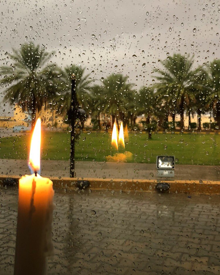 _l7ni's tweet photo. @_988__ الضوء .. المطر .. الظل 💛🌿✨ https://t.co/94MF5ZZmGq