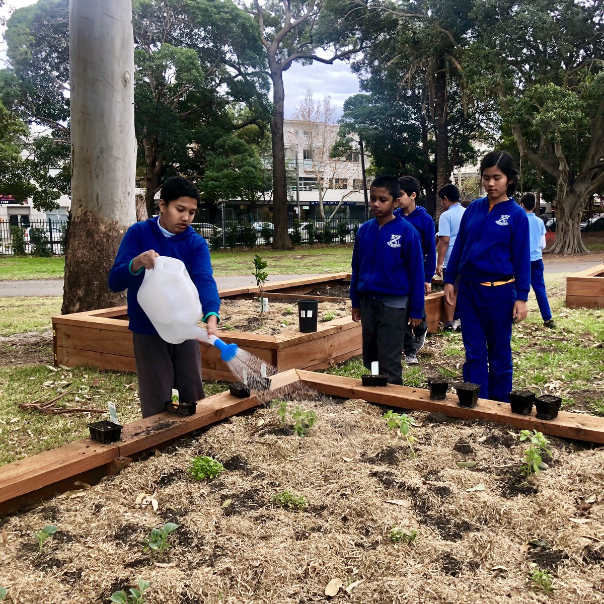 Miss_SGomez's tweet photo. We sure are expert gardeners here at Gardeners Road Public School! 🤗🌱🌿🌵🌲🌷 https://t.co/RgZfV5vYPA
