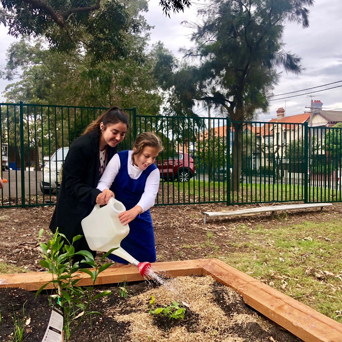 Miss_SGomez's tweet photo. We sure are expert gardeners here at Gardeners Road Public School! 🤗🌱🌿🌵🌲🌷 https://t.co/RgZfV5vYPA
