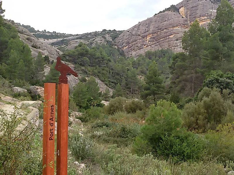 totnens's tweet photo. Resseguim el riu #Estrets al seu pas per les immenses i magnífiques parets de conglomerat fins arribar a la zona del Toll Blau. PN dels Ports
➡️ des de Lliberós https://t.co/QOjke42PlA
➡️ des del municipi d'Arnes https://t.co/AWnC8pEXIb
.
#rutesapeu #terraalta #ambnens https://t.co/jxNsMnp484