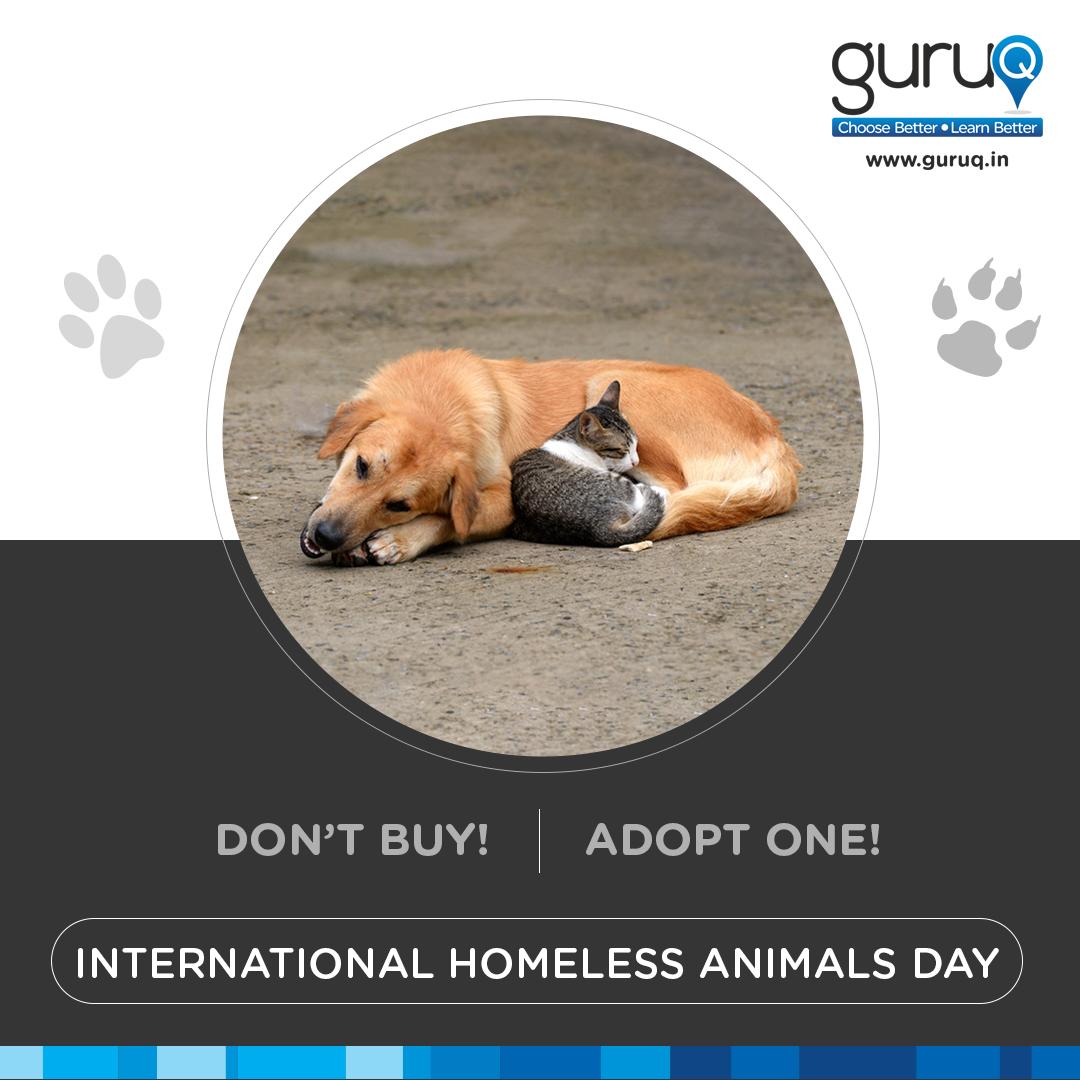 guruqindia's tweet photo. If you believe everyone deserves a loving home. On this #InternationalHomelessAnimalsDay it's important to be the voice for those who don't have one.
#AdoptOne https://t.co/zZoJhE5doW