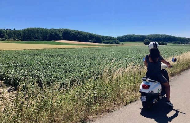 Demi van <a href="/ViveLeVoyage/">ViveLeVoyage</a> deelt haar Moeder-dochter weekendtip: bezoek de Vlaamse Ardennen! Lees o.a. over hun culinaire hoogtepunten, rustmomentjes, een tripje op een vespa, brouwerij-ervaring en museumbezoek in #Oudenaarde  ow.ly/9Hz050vrD3L <a href="/ToerismeOVL/">Oost-Vlaanderen</a>