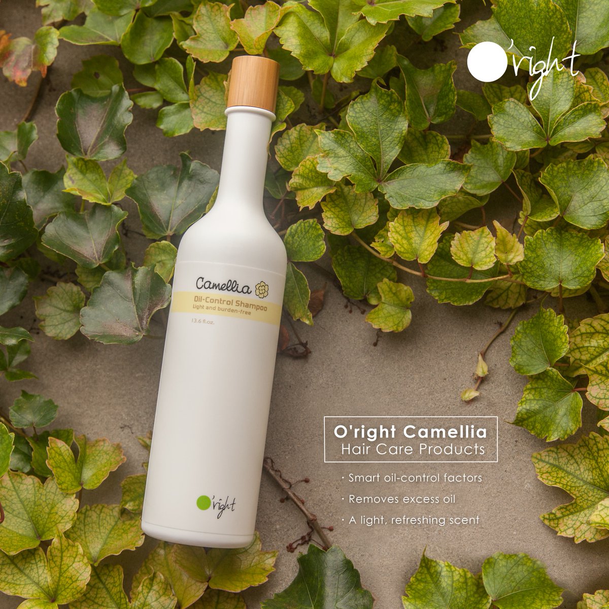 Oright_Swiss's tweet photo. Kennt ihr unser Camellia Oil-Control Shampoo bereits? 🤔

Gegen fettige Kopfhaut und trockene Haarspitzen.

#Camellia #Shampoo #Natural #Biological #plantbased #vegan #glutenfree #crueltyfree #ecofriendly #organic #renewable #pcr #green #orightswitzerland #switzerland #schweiz https://t.co/KoH3HYy6Pw