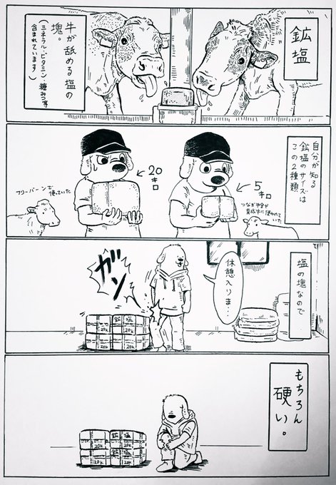 タンスの角に小指はぶつけていませんが、「鉱塩」に足をぶつけています。 