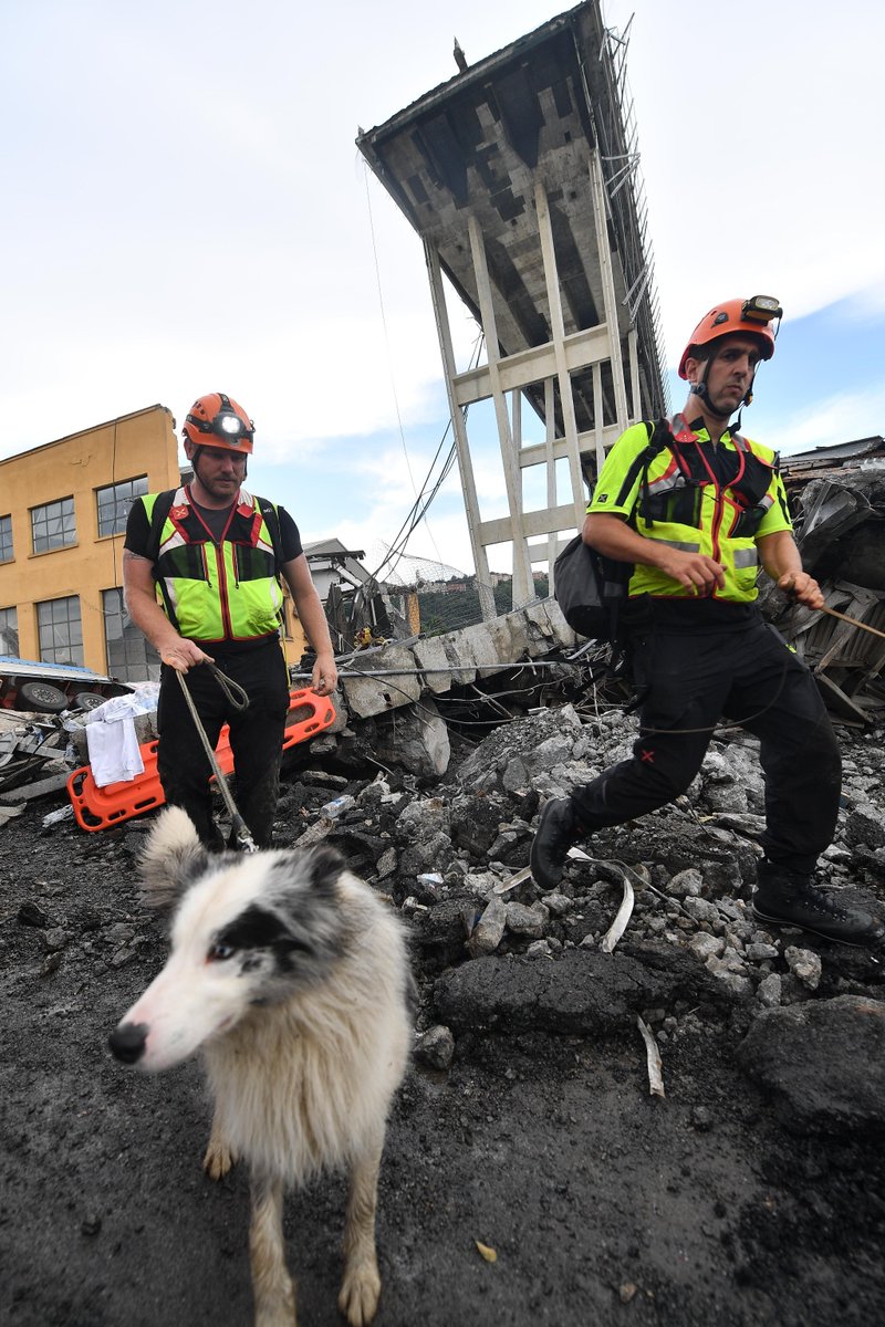 DPCgov's tweet image. #14agosto 2018, il crollo del #PonteMorandi. Il Servizio nazionale della #protezionecivile rinnova il cordoglio per le vittime e ricorda l’impegno di chi operò in quei giorni. Ieri come oggi siamo con il cuore a #Genova.

Foto: Ansa e Croce Rossa Italiana