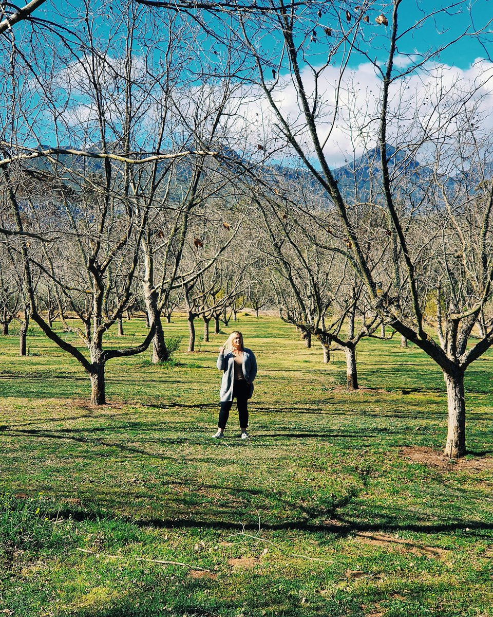 This past weekend, obo @InstaEats, we celebrated the Slow Food &amp; Wine festival. 

How beautiful are the pecan nut orchards at <a href="/JHGCountryHouse/">JHG Country House</a>?
<a href="/RobertsonWineV/">RobertsonWineValley</a>

#RobertsonSlow
#SlowFoodandWine
#TastetheLifestyle
#CountryLife
#CelebrateRobertson