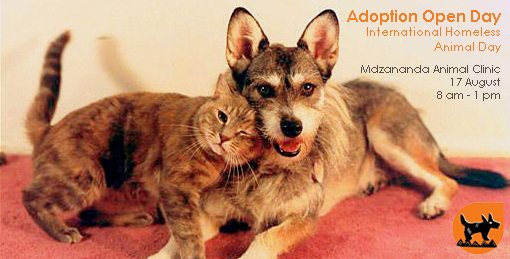 mdzananda's tweet image. You're invited - Adoption Open Day this Saturday - mailchi.mp/mdzananda/xls1…