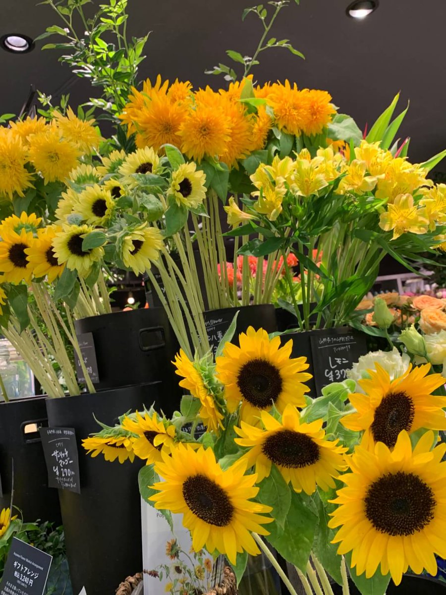 公式 Jr博多シティ 夏の人気者 アミュエスト1階 青山フラワーマーケット ではビタミンカラーが眩しいひまわりを取り扱っております 今の季節にピッタリのひまわりをギフトに 自分用にいかがでしょうか