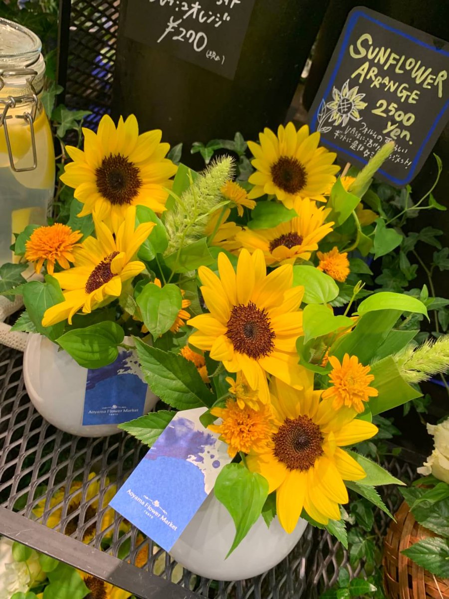 公式 Jr博多シティ 夏の人気者 アミュエスト1階 青山フラワーマーケット ではビタミンカラーが眩しいひまわりを取り扱っております 今の季節にピッタリのひまわりをギフトに 自分用にいかがでしょうか