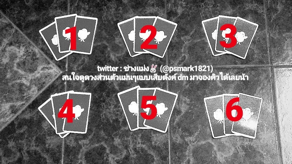 ช่างแม่ง🐰🏳️‍🌈 tweet media