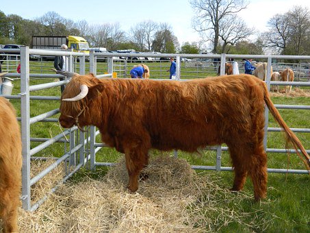 GilbertStephens's tweet image. We are excited to be getting ready for the Chagford Show tomorrow, we hope to see you there! 

chagfordshow.co.uk 

@Chagfordshow #chagford #chagfordshow #devonshow #dayoutindevon #agriculturalshow #devonsolicitors