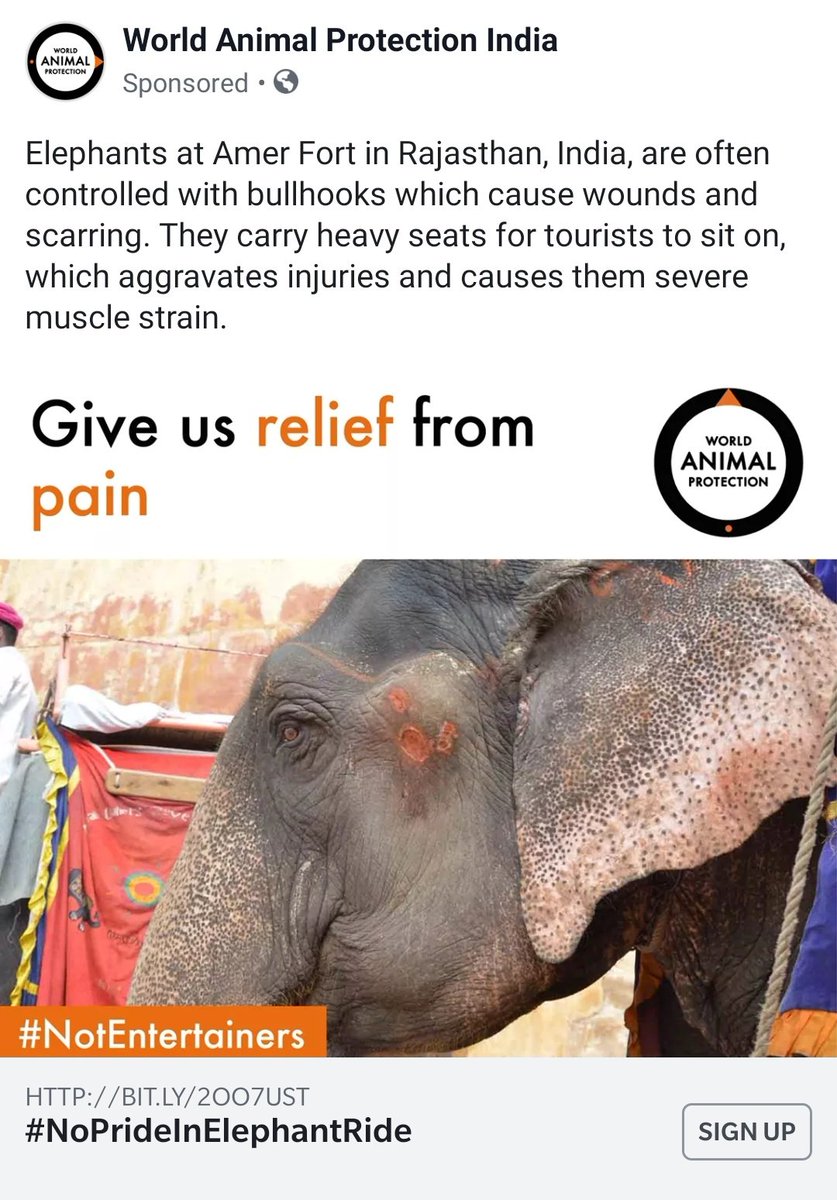 SanghiSwati's tweet image. We don't need to ride on their backs towards #develolment. @indiatourism @incredibleindia shame on you for promoting #torture and #slavery in the name of #tourism!