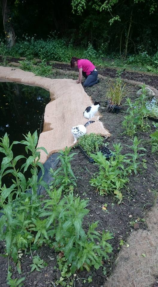 AquaserveU's tweet photo. #WednesdayWisdom #WednesdayMotivation When @AESEurope staff @MilliesMate and @ninafreer
would talk about #plants #trees #marginals #native etc. I used to wonder what they all were. I'm pleased to be learning what they all look like now๐ฅฐ๐ผ #Learning #teamwork #teachingme #nature https://t.co/vunxHuFFYv