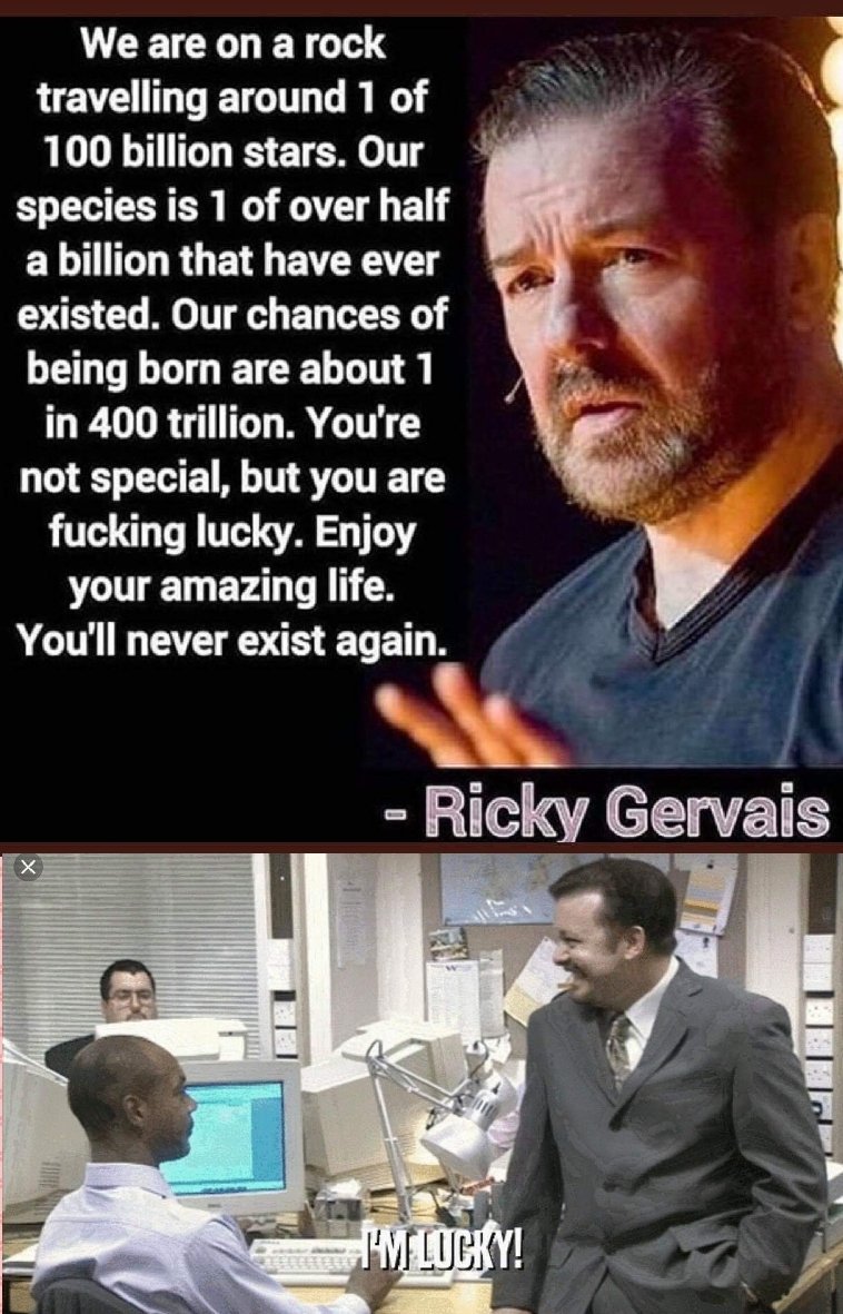 Wernham Blogg - The Office Podcast tweet media