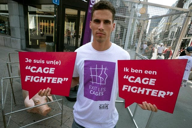 artem_prod_'s tweet photo. Nos pancartes imprimées sur bois font le tour du pays pour défendre une noble cause avec  @GAIABrussels 🐷🏃‍♂️ https://t.co/rTqzFQZbdQ