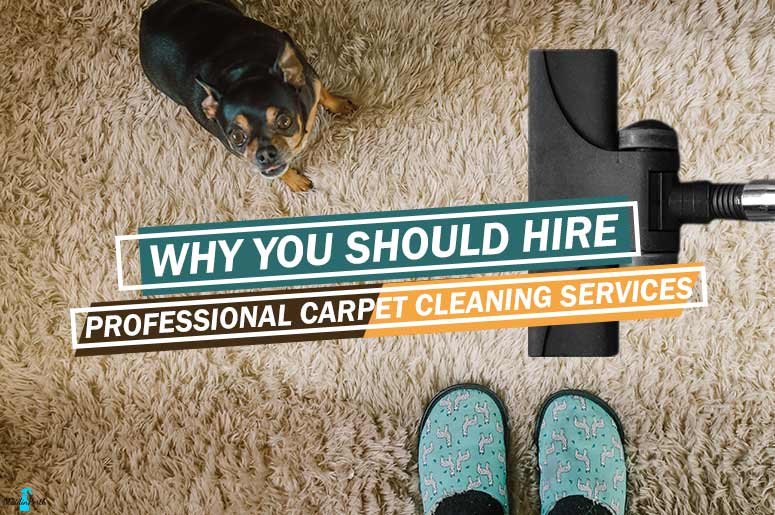 maidinperth's tweet photo. Getting your #carpet cleaned by the #professionals can surely bring you good results. Check this out!
https://t.co/bi4V9EJqkV
#Perth #home #cleaners #cleaneating https://t.co/yVXARfCh0t