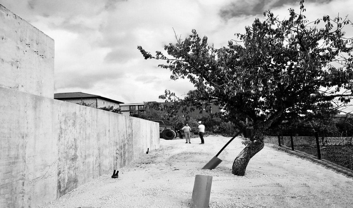 carlos_pereda_'s tweet photo. procesos en torno a un muro, un árbol y un paisaje #peredapérezarquitectos #arquitectura #architecture con @oscar_perez_sil https://t.co/CLpjrc9FW0