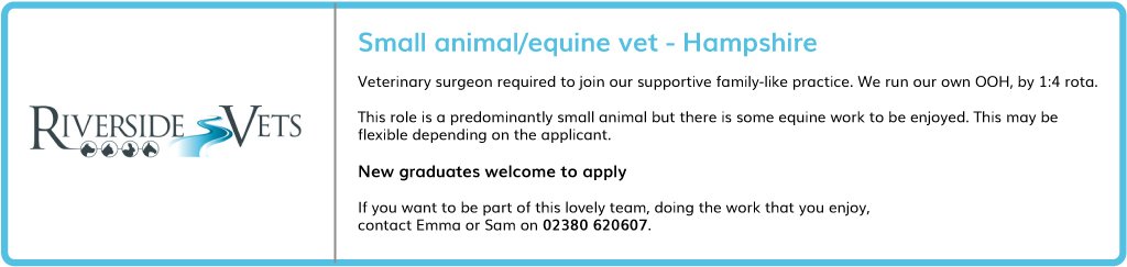 IVPCareers's tweet photo. Vet required at small family-like run practice in #Hampshire. This is predominantly a small animal role but there is some equine work to be enjoyed. New grads welcome to apply. Contact Emma or Sam on 02380 620607 #vet #vetjob #Career #vetgrad #vetstudent https://t.co/kldIdjUuDe