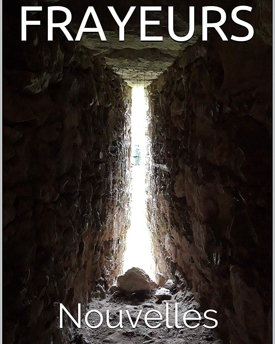 HellElmor's tweet photo. Mon recueil de nouvelles autopublié Frayeurs est disponible sur Amazon en version numérique Kindle et en version brochée. N hesitez pas à me faire vos retours. Merci pour votre soutien #elmorhell #polar #thriller #slasher #nouvelles #frayeurs #recueil #fantastique #amazon https://t.co/Lo35dFOUII