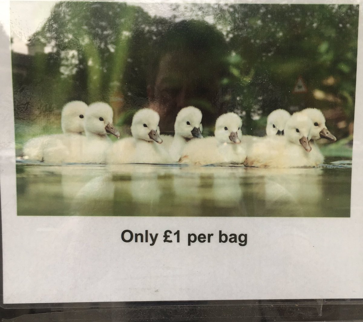 Tough times in the mean streets of Barnes ..Saw this in an estate agent window..people doing anything to make a buck..