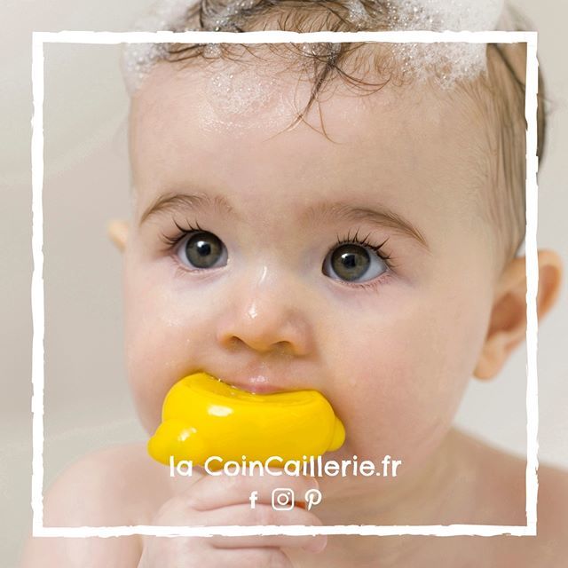 La Coincaillerie 🐥 tweet media