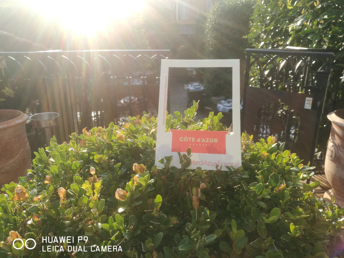 HotelPerouse's tweet photo. S'il existe un chef qui ne rentre dans aucun cadre, c'est bien le notre! David Chauvac 🍳 en plein service @VisitCotedazur @VilledeNice #ILoveNice #resto #LePatio. On vous accueille chaque jour au jardin ou sous la véranda. ⭐Résa au 0497001930 ⭐ https://t.co/U5Cjq7ED7M