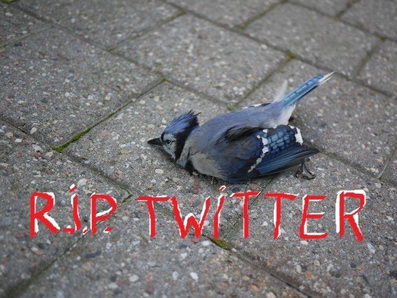 lap_seg's tweet image. .@Twitter @TwitterSupport your anti-spam anti-bot anti-whatever #algorithms locked/suspended my account already 3 times for NO VALID REASON 

Why should I spent/invest any more time and energy into you??

You&apos;ve lost a genuine user, #ByeByetwitter

#TwitterSucks #RIPtwitter