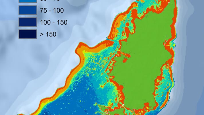 The Fish Site tweet media