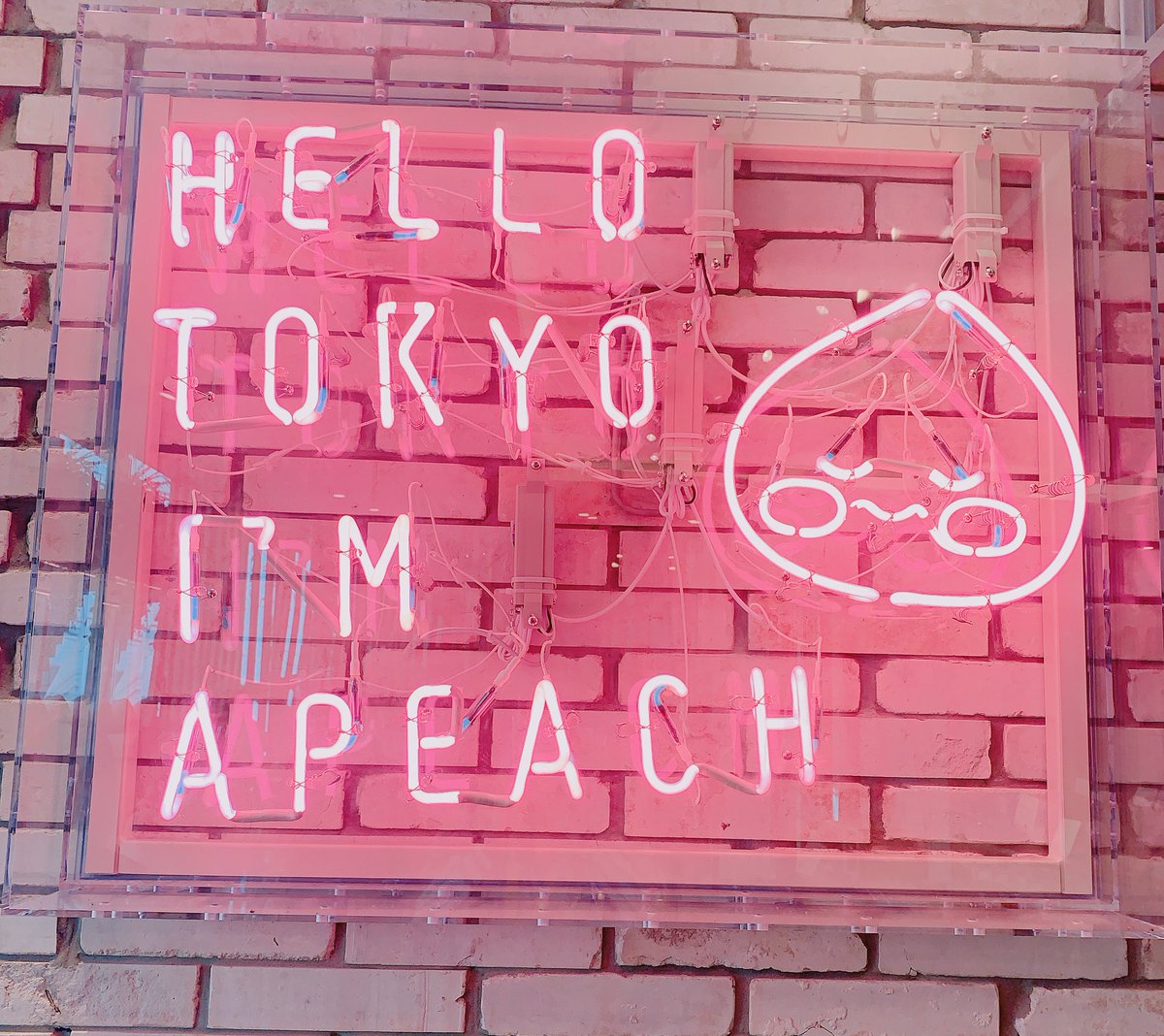 Achandolls's tweet photo. #APEACHcafe #Harajuku 🍑💕
めっちゃ癒し空間だった…🥺✨
ゆんぎさんがたくさんいた🤤💕笑 https://t.co/ztsd867PSn