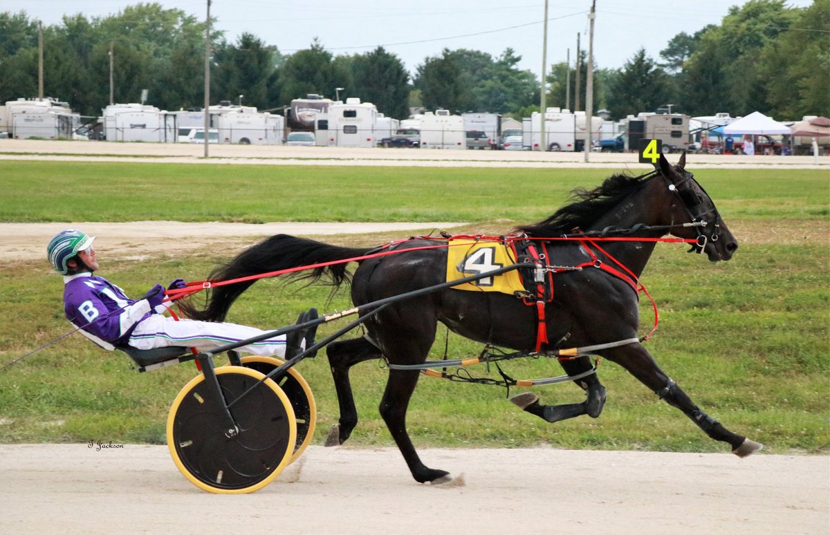 hoosiernations's tweet photo. GoodMorning @bigticketbates @dolenski_john @Chris_wponies @JoannKi32885615 @rebelsart @jtlburn @kimberlymoier @GlenPeckinpaugh @vnssa926 @KathleenBaitzel @joe_norte @elliotgordon2 @SadandSulk @blongphee67 @____CharlieB @BradA53472906 #SpiderDragon #BrandonBates #MercerCountyFair https://t.co/7RryG5fgPX