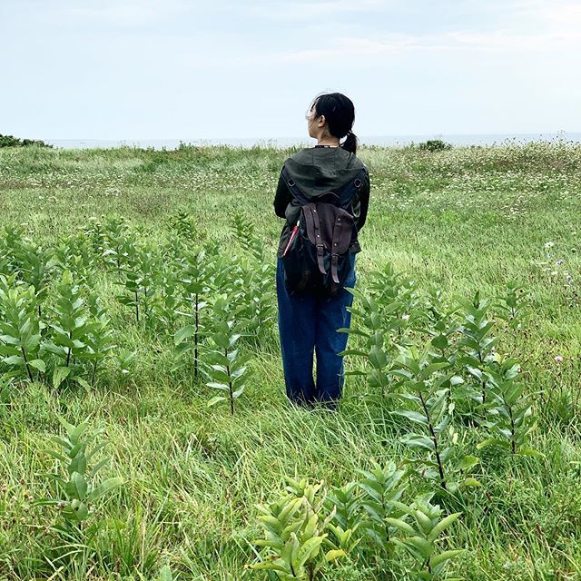 Grounding
.
.
.
#allenspondwildlifesanctuary #risdlandscape #risd #designfoundations  #landscapearchitecture #landscapesketching #milkweed ift.tt/30b0VSl