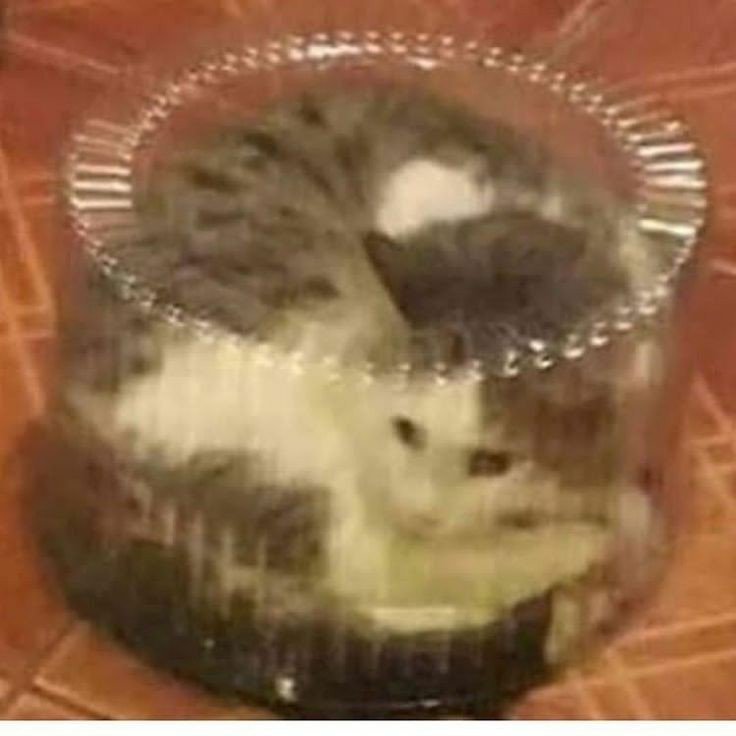 bartuklr's tweet image. Birisi bana çok bağırınca böyle oluyorum