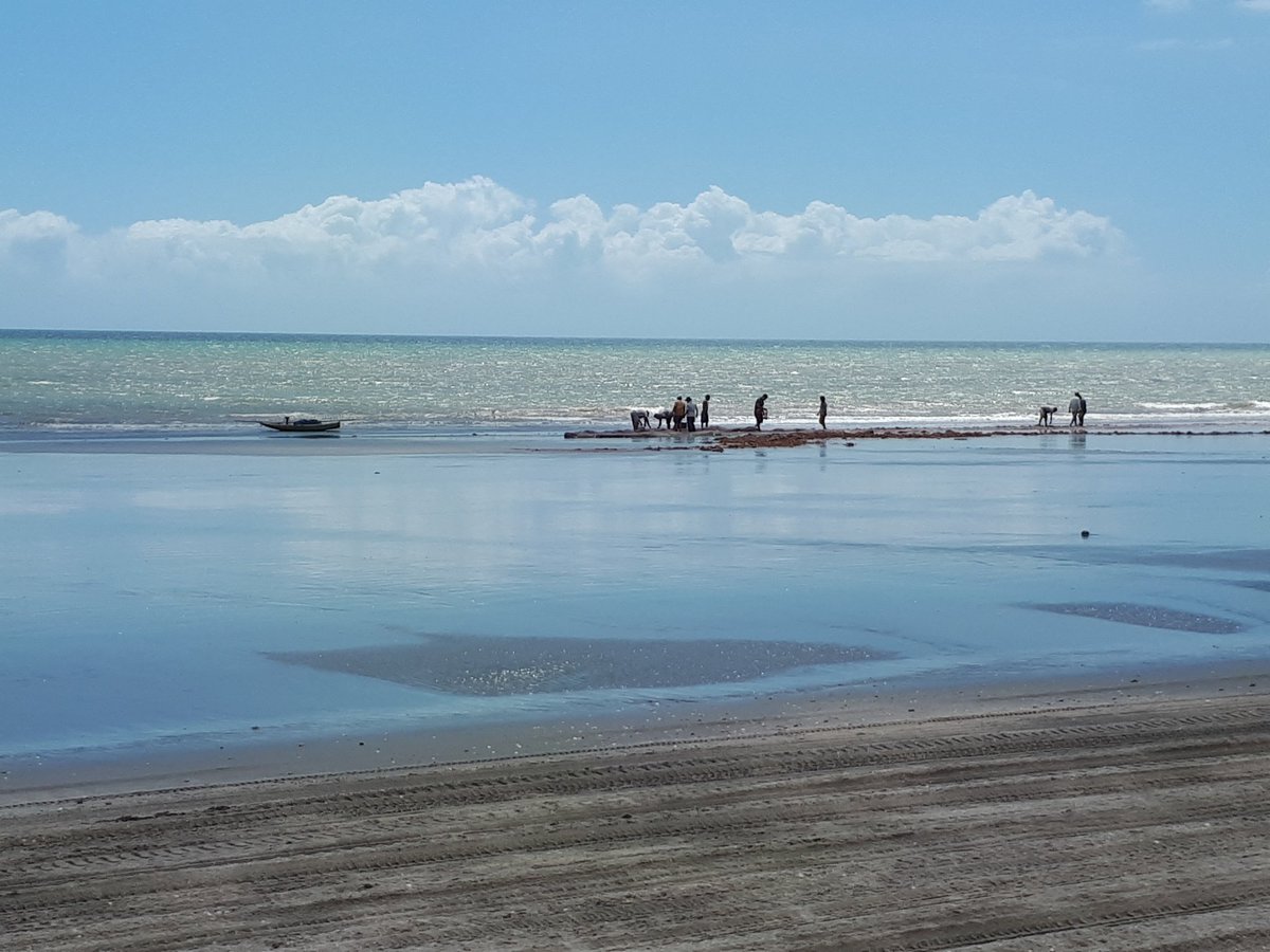 Simona_Ti's tweet photo. Ciao Jeri..🏖🏄♀️🌅😍🇧🇷
#travel #tourism #sea #beach
#Jericocoara #Brazil https://t.co/i4wbULbB7N