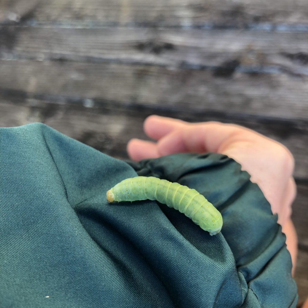 A_Bagel_Pruitt's tweet photo. Found a friend this morning. Two more hours! #24HourSampling https://t.co/0jxwk8U9BO