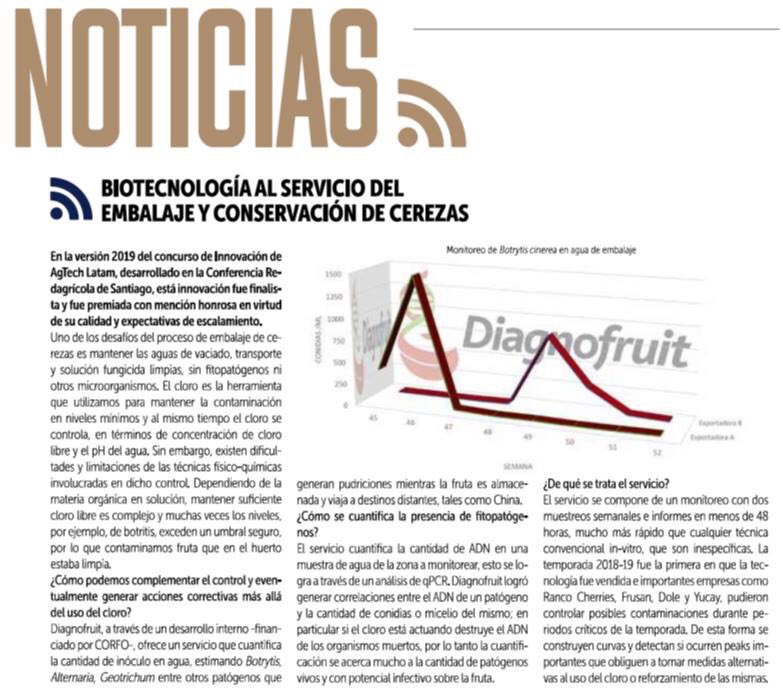diagnofruit's tweet photo. Con esta innovación llegamos a ser finalistas de Agtech Latam 2019 en @redagricola. Si quieres conocer nuestro nuevo servicio revísalo aquí 👇 https://t.co/7UDN48d6Gu