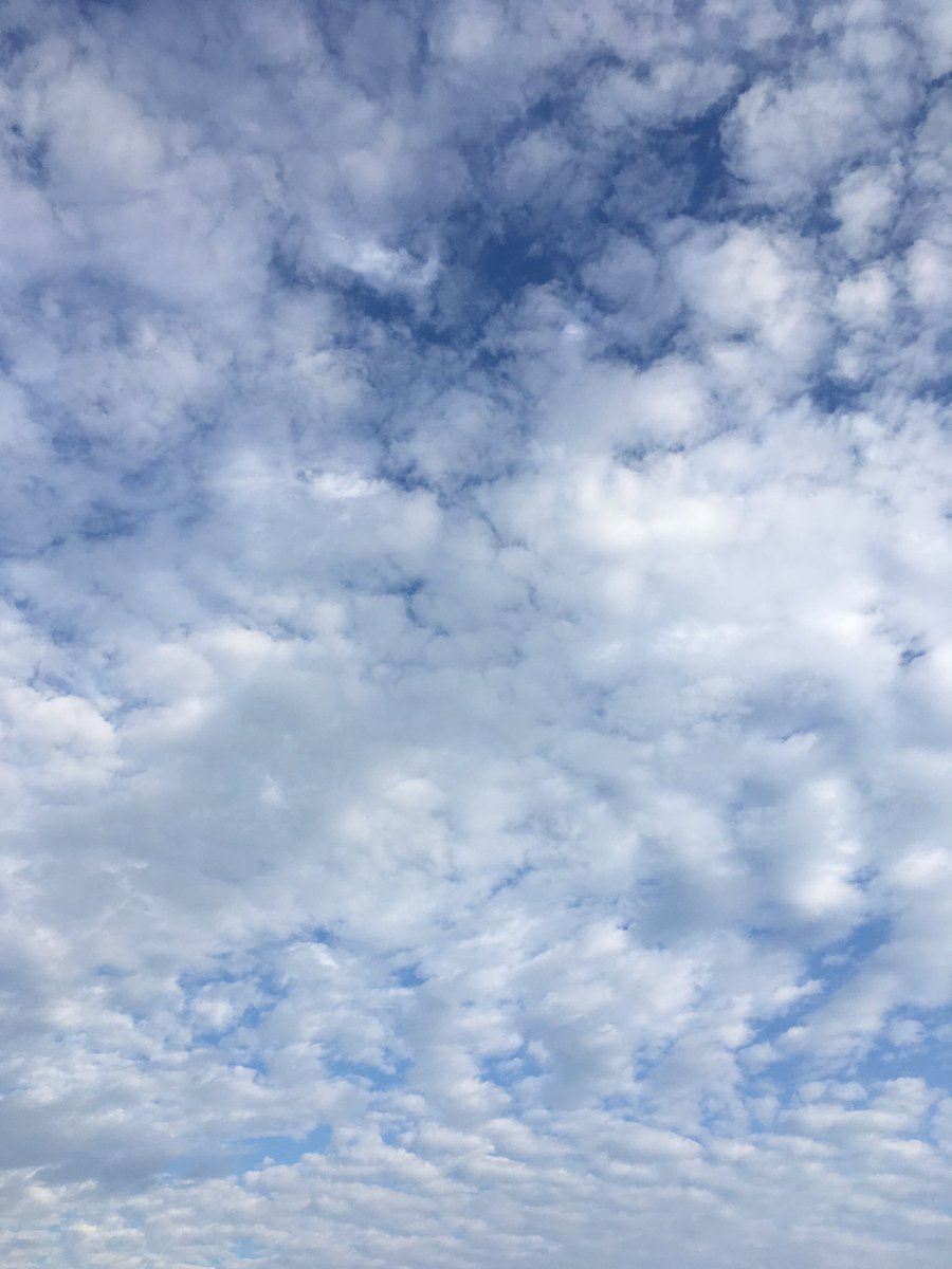 k128iMedia's tweet photo. 6.91 mile run & yoga this morning. Pushing my limits further! #CompassExchange #adaptiveathlete #adaptiveartist #FitnessMotivation #pushinglimits #inspire #inspireothers #DaretoDream #EssentialTremor #run #workout #yoga #fitness #fitwomen #Wednesday #Warrior https://t.co/O8xf1h1CJi