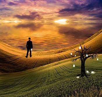 RealCoolTVProd's tweet photo. Managing the information horizon for success. https://t.co/flUhz7979j https://t.co/tCXcDbnYNL