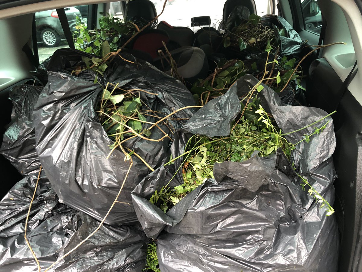 Suzi_Mcilwain's tweet photo. Two people carrier loads of greenery taken to the recycling centre for composting! #GetDiggin @bitcni #AllotmentWeek #Volunteering for @actiondeafyouth https://t.co/srvSKLnPRD
