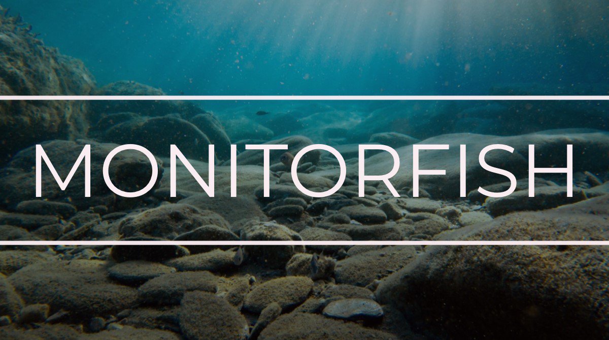 Startupnight (@startupnight) on Twitter photo Startup introduction: <a href="/Monitor_Fish/">MonitorFish</a> develops a plug-and-play, cloud-based, affordable, intelligent fish welfare monitoring system w real-time analysis of critical water parameters. Get a ticket & learn more on Sept 6 at MS: scomp.ly/tickets #SUN19 #FoodTech #AI Startup introduction: <a href="/Monitor_Fish/">MonitorFish</a> develops a plug-and-play, cloud-based, affordable, intelligent fish welfare monitoring system w real-time analysis of critical water parameters. Get a ticket & learn more on Sept 6 at MS: scomp.ly/tickets #SUN19 #FoodTech #AI