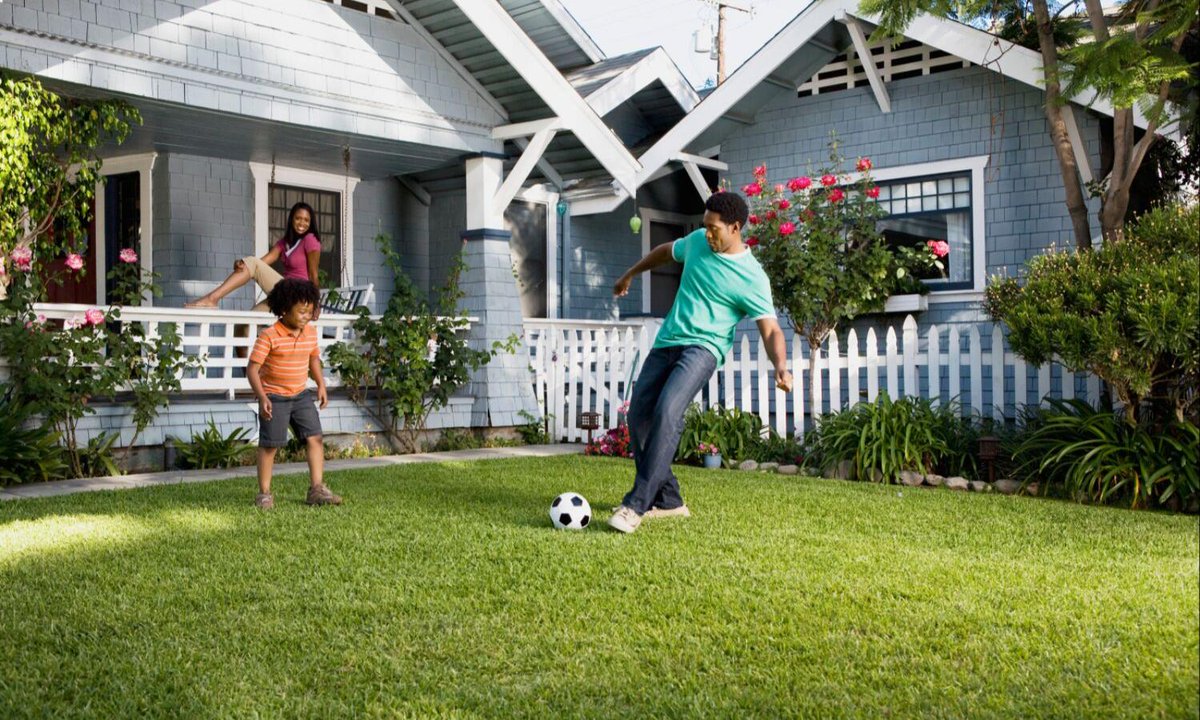 lucastreecareil's tweet photo. Take back your yard with Lucas Tree Care!
📞(630) 519-4206

#LucasTreeCare #Trees #Trimming #Pruning #StumpGrinding #TreeRemoval #TreeCare #Experts #Chicagoland #Lombard #IL  #Green #Love #Vibes #GreenVibe #Mood #Lawn #Yard #TreeHelp #Tree #Nature #Outdoor https://t.co/4qZ9Rv41u3
