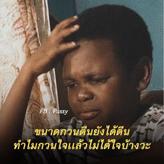 ณฐ 🥨 tweet media
