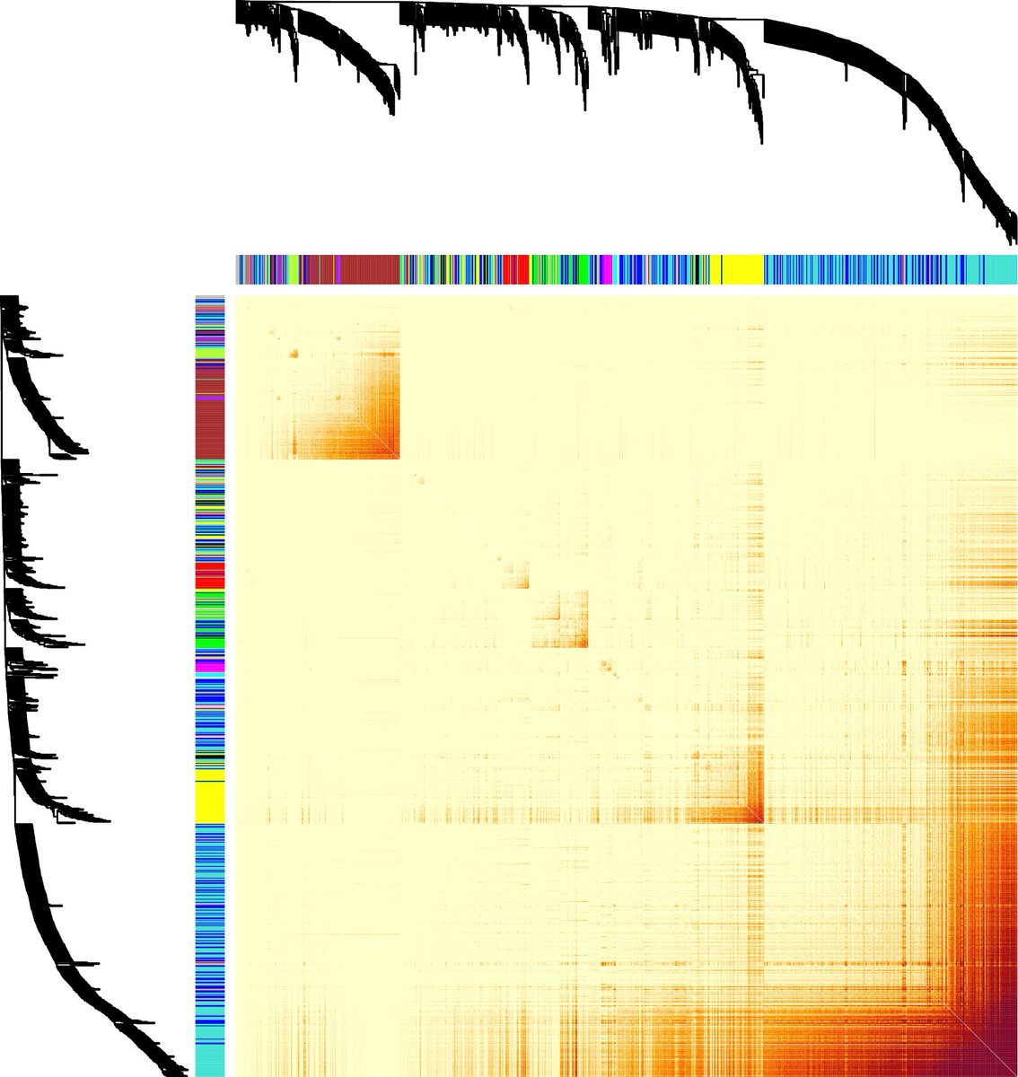 PlantDirectJ's tweet photo. Network‐based feature selection reveals substructures of gene modules responding to salt stress in rice https://t.co/wSXf0rVnrW @wileyplantsci #genemodules #LASSOregression #dataintegration https://t.co/tZLUsNj9l3