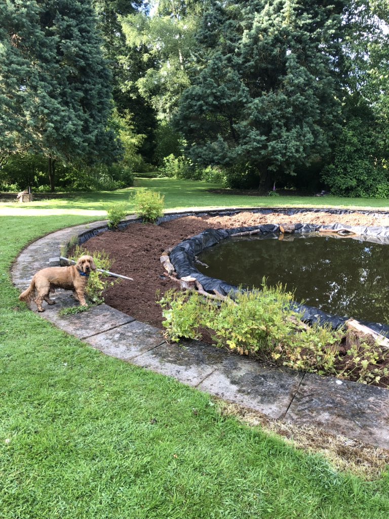 BurfordHouse's tweet photo. @Plantheritage we are just in the process of creating a wet garden. Could you send details? https://t.co/eQmP2R4qmc