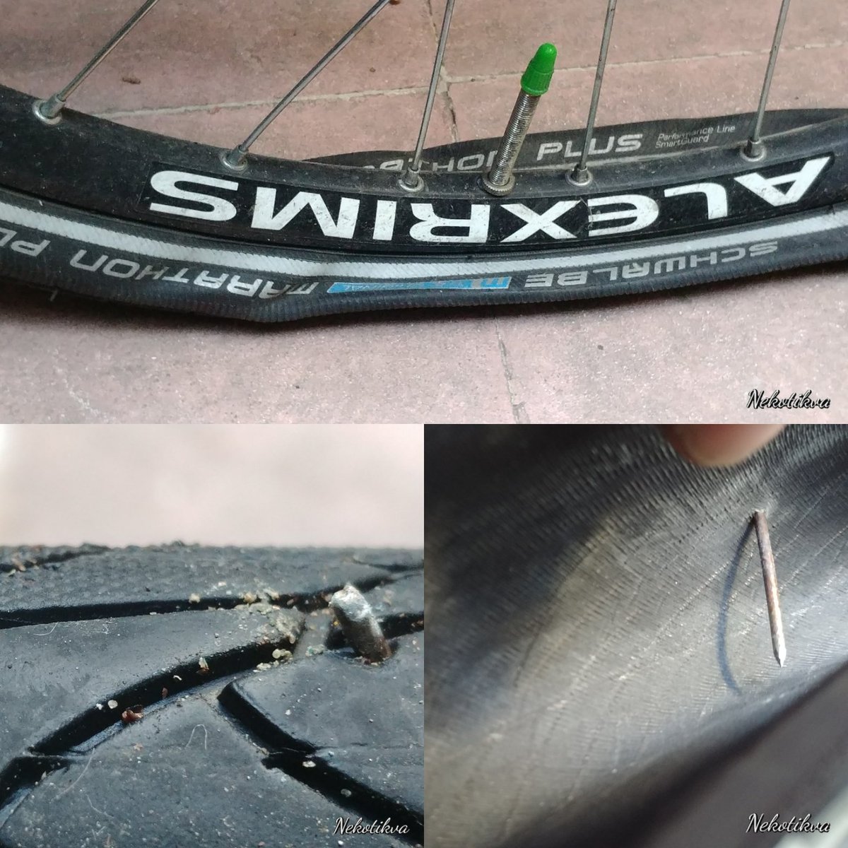 nekotikva's tweet photo. Cuando una #mañanaSoleada ni con tus #Marathonplus de @SchwalbeUK libras lo que la #CDMX te pone en el camino.
No siempre #EnBiciYaHubierasLlegado
😂😂😂😥😭😭😭😭
¿Será la maldición de @joseSps ? https://t.co/GmpECAQXUP