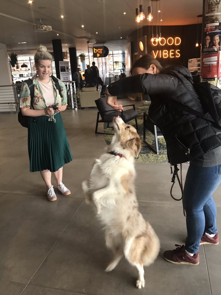 thesammyhannah's tweet photo. How to find true happiness. (while.. losing all control of face)

#dogsoffringe https://t.co/92DggFKt3z