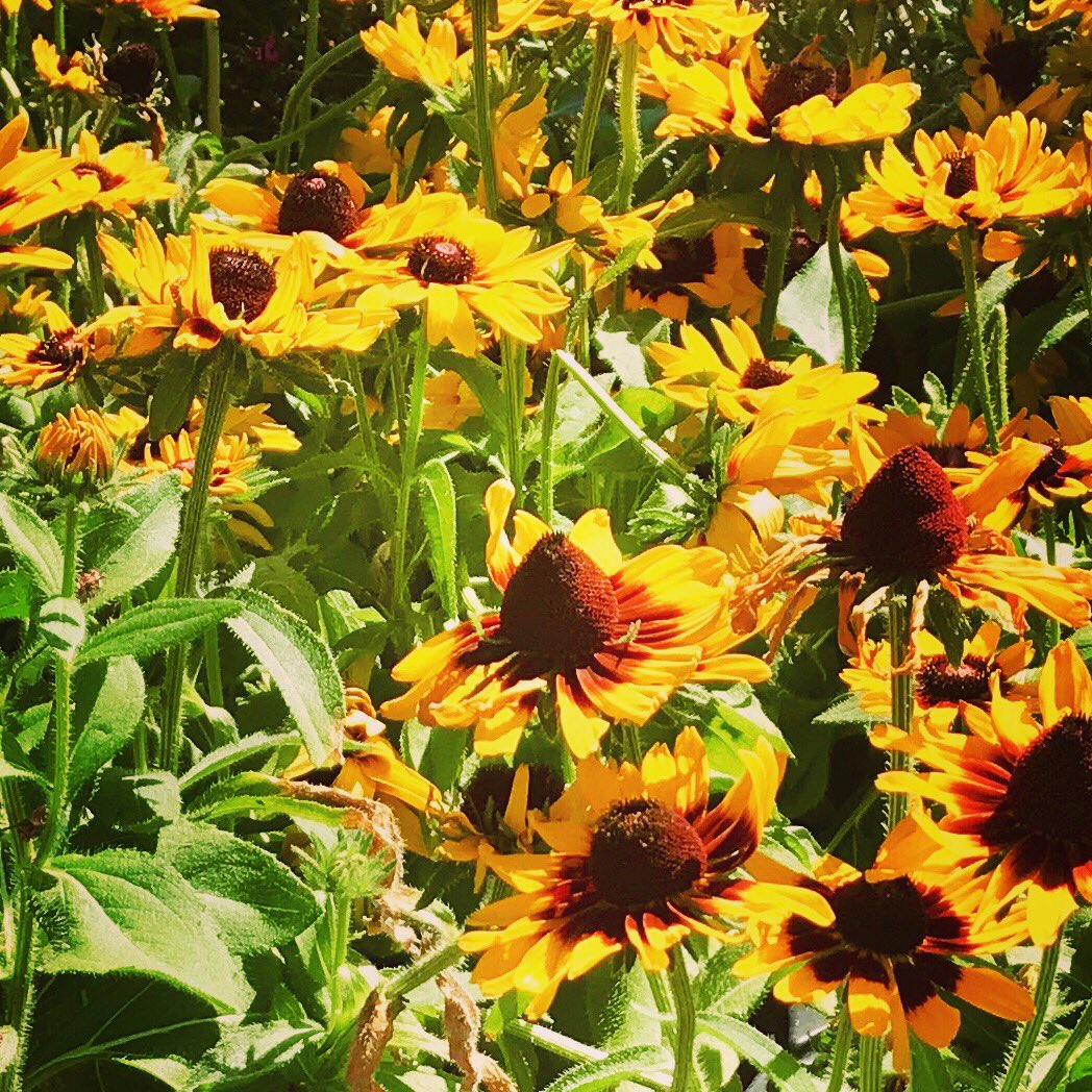 1HeatherMcLean's tweet photo. “Be happy for this moment. This moment is your life.” Omar Khayyam #goodnessgrows https://t.co/MjyXHSkIcw
