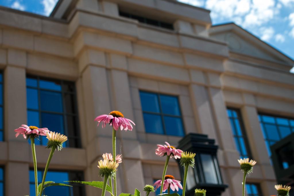 TippieIowa's tweet photo. On Wednesdays, we wear pink. ๐ธ https://t.co/ccUJwVODMY