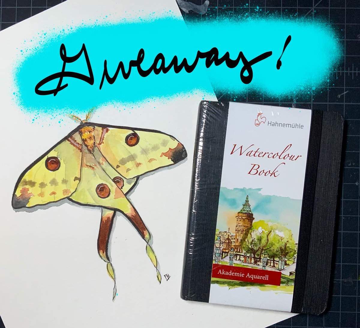 MarciaFurman's tweet image. Don’t forget to enter my YouTube giveaway for this original moth painting and watercolor sketchbook! To enter leave a comment on the giveaway video! It would be awesome if you'd subscribe to my channel as well! youtu.be/cTaKLZG6Xrs