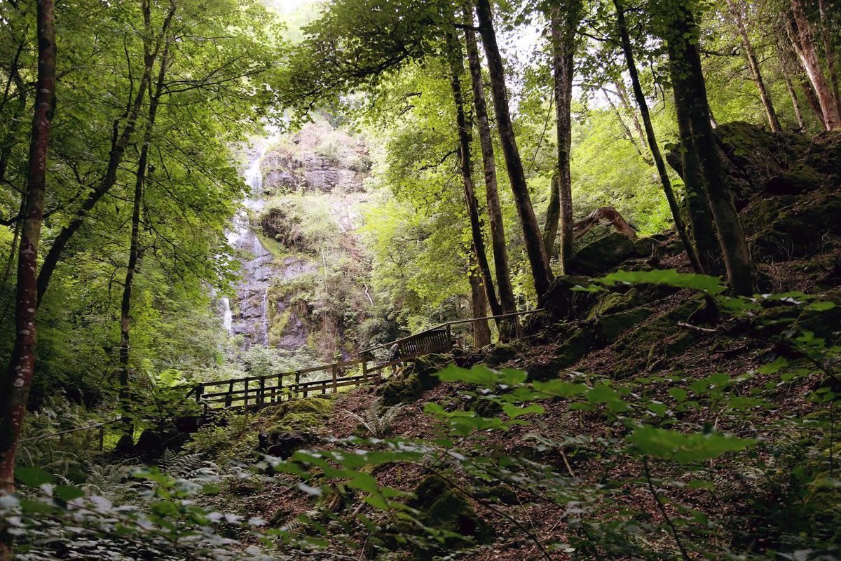 TinBoxTraveller's tweet photo. [AD] Help! The fairies at @CanonteignFall have lost their happy endings! Can you help get them back? Head to England’s highest waterfall on 31 August for a performance of ‘A Fairy Tale’ by @PocketwatchCo. Tickets and more info: https://t.co/nrJ4K1LfAW #Devon #Summer2019 https://t.co/JamdL1Hh99